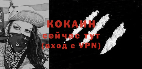 дурь Бородино