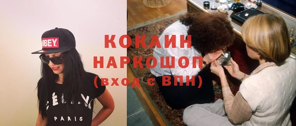 эйфоретик Богданович