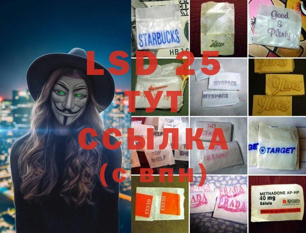 дурь Бородино