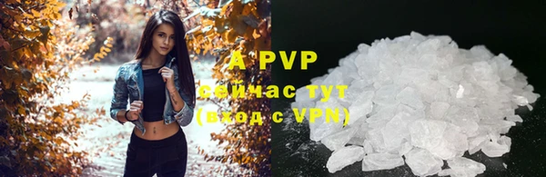 эйфоретик Богданович