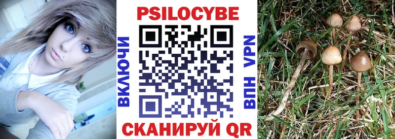 Псилоцибиновые грибы ЛСД  Купить где  Агрыз 
